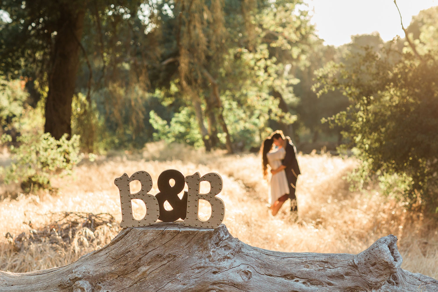 Brittany and Brett Engaged - Placerita Canyon Engagement Session Photography - How He Asked