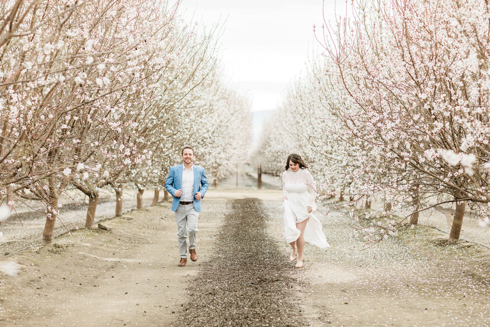 romantic almond orchard engagement session, central coast almond orchards